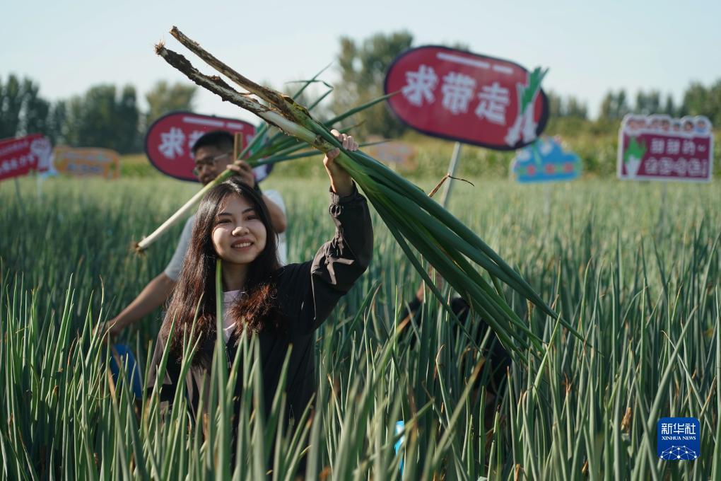 欢乐城娱乐平台注册